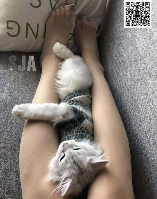 走钢丝的人